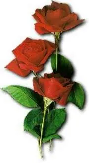 Antes De Regalar Ó Te Regalen Una Flor,debes Saber Que... - Página ... Antes De Regalar Ó Te Regalen Una Flor,debes Saber Que... - Página ...