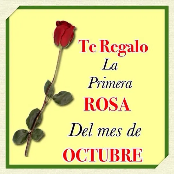 Te regalo la primera rosa del mes de Octubre imagen #7382 Te regalo la primera rosa del mes de Octubre imagen #7382