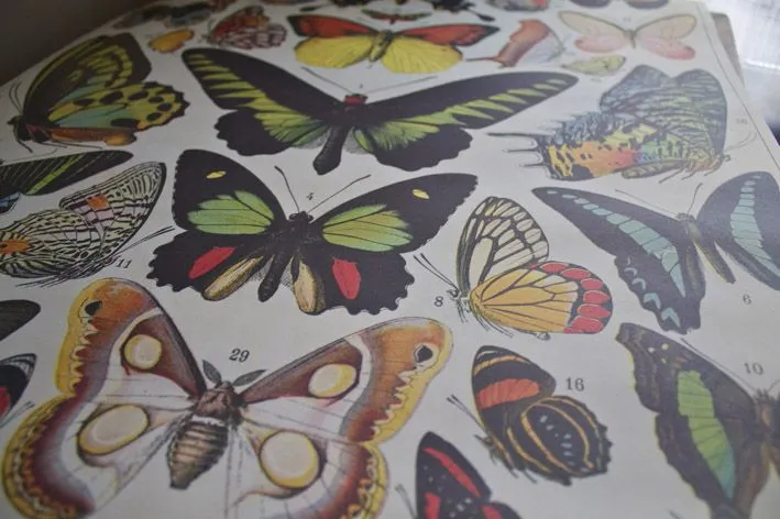 Regalos con un aire tarrero - El tarro de ideasEl tarro de ideas