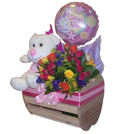 Regalos Bebé Recién Nacido en Bogota- Niña