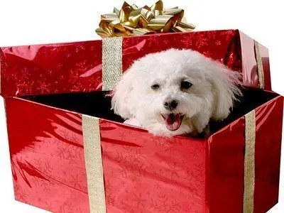Regalos Categorías - Página 5 de 44 - Navidad Regalos Categorías - Página 5 de 44 - Navidad