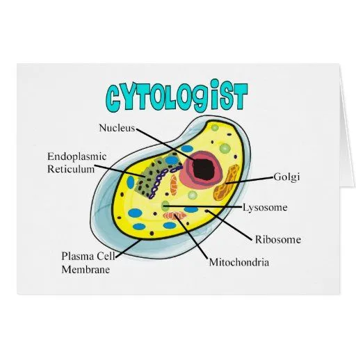 Regalos del dibujo de la célula humana del Cytolog Tarjeta de Zazzle.