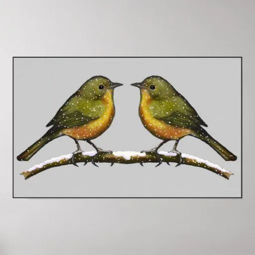 Regalos Pájaro Del Dibujo De Lápiz – Camisetas, arte, pósters y ... Regalos Pájaro Del Dibujo De Lápiz – Camisetas, arte, pósters y ...