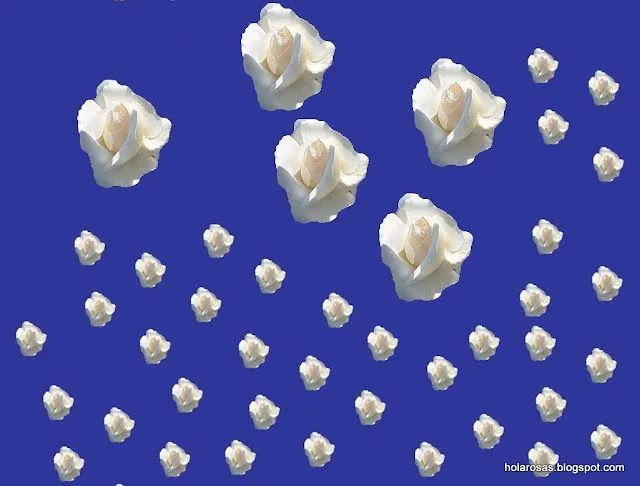regalos virtuales de flores con mensajes de feliz dia regalos virtuales de flores con mensajes de feliz dia