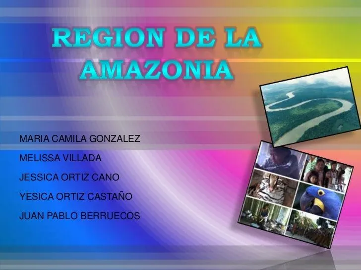 Region amazonica