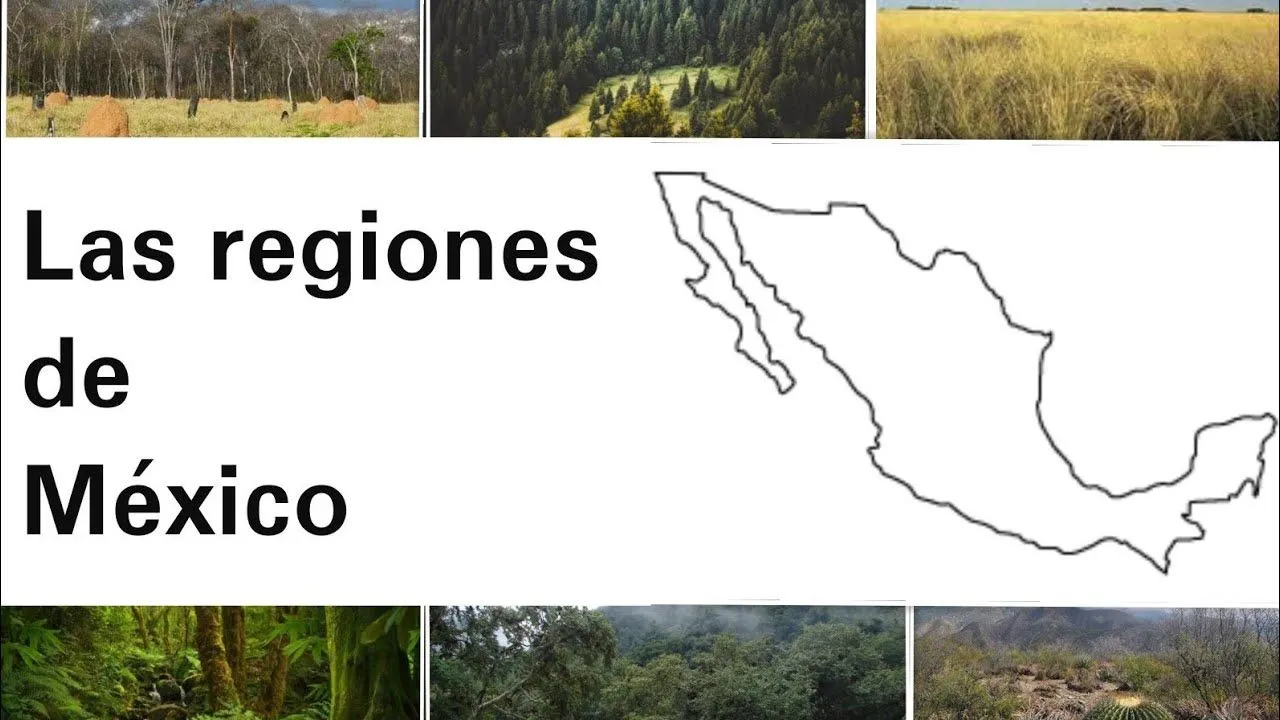Las regiones de México - Geografía - YouTube