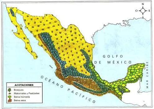 Las Regiones Naturales: abril 2011