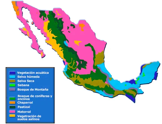 Regiones naturales – Geografía | CiberTareas Regiones naturales – Geografía | CiberTareas