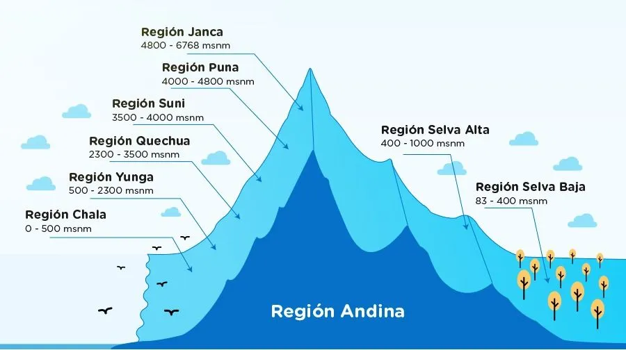 Las 8 regiones naturales del Perú