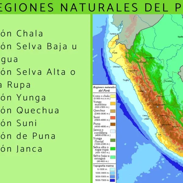 8 REGIONES NATURALES del PERÚ - Resumen con mapa