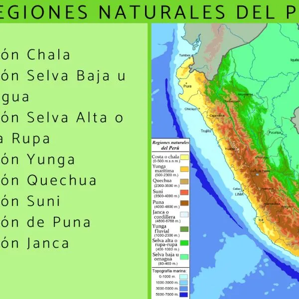 8 REGIONES NATURALES del PERÚ - Resumen con mapa 8 REGIONES NATURALES del PERÚ - Resumen con mapa