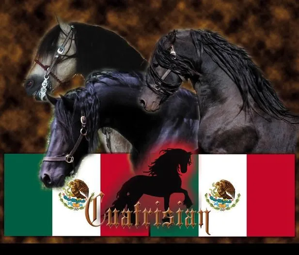 Registracion Cuafrisian