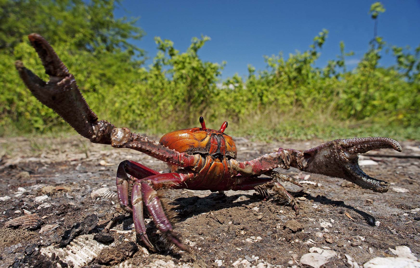 Reglamento de extracción de mariscos: principales puntos de la propuesta de Produce | SPDA Actualidad Ambiental Reglamento de extracción de mariscos: principales puntos de la propuesta de Produce | SPDA Actualidad Ambiental