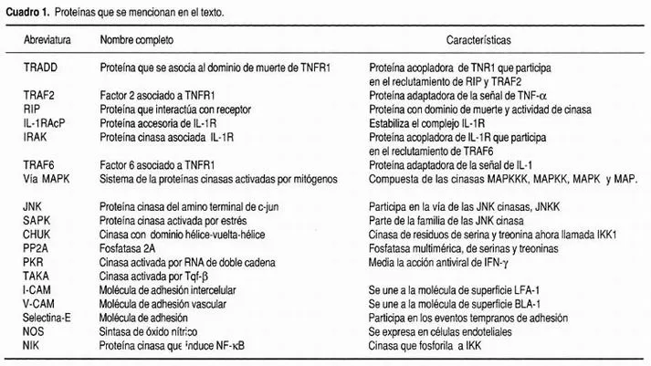 La regulación del factor de transcripción NF-κB. Un mediador ...