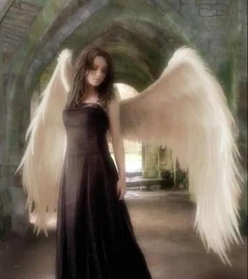 REIKI ♥ LUZ DE LEVANAH ♥: TUS ALAS DE ÁNGEL