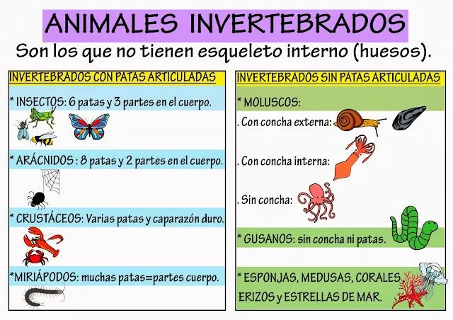 REINO ANIMAL INVERTEBRADOS ~ HONORIANO CTA