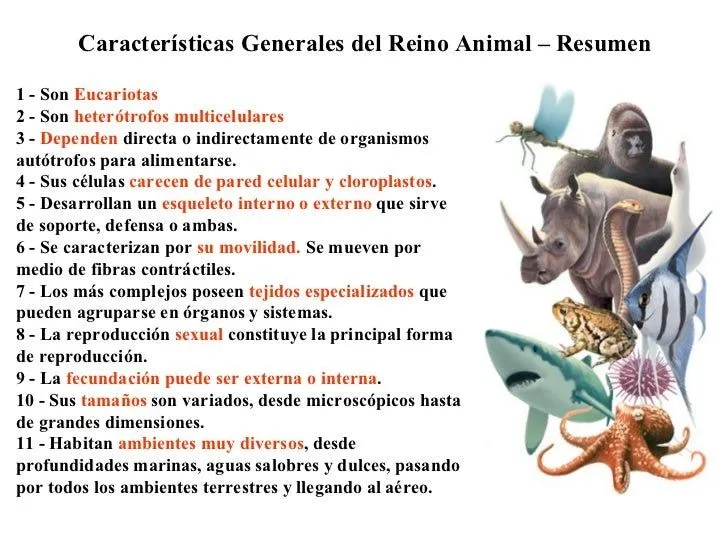 reino-animal-primera-parte-3- ...