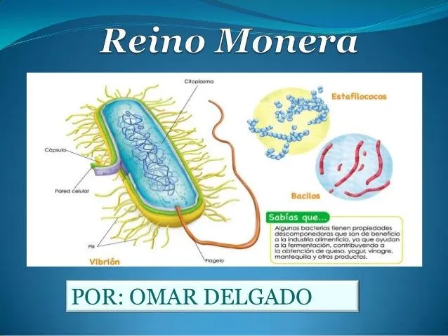 Reino Monera