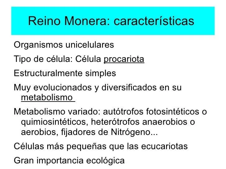 Reino Monera