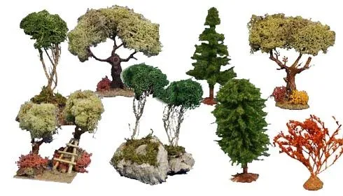 Reino Vegetal (Plantae) ~ ~* Jardin Botanico *~
