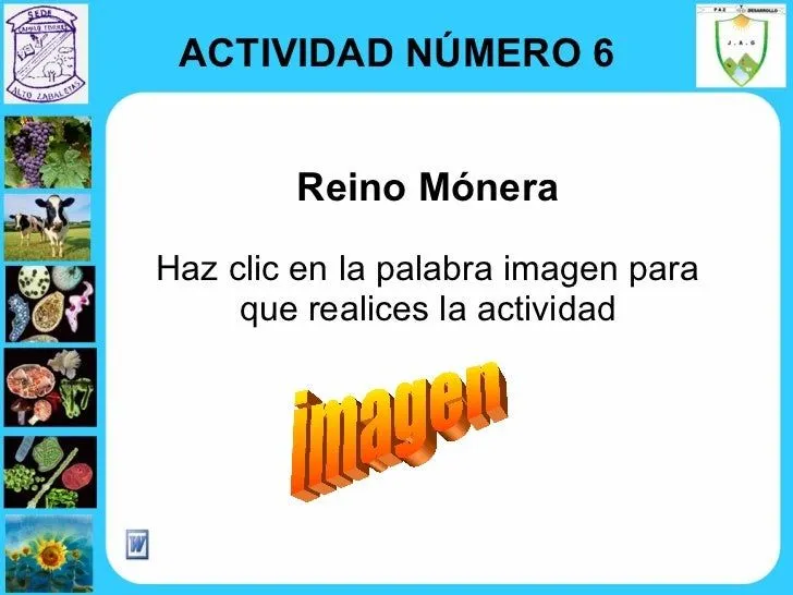 Reinos En Que Se Han Clasificado Los Seres De La Naturaleza Reinos En Que Se Han Clasificado Los Seres De La Naturaleza