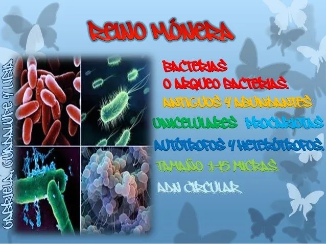 LOS REINOS DE LA NATURALEZA