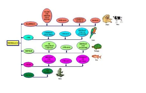Reinos de la naturaleza | Laboratorio de Ciencias