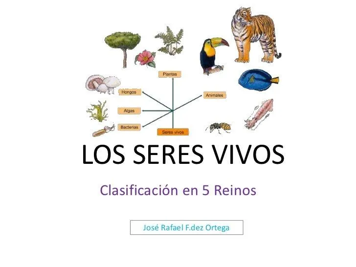 Los cinco reinos de seres vivos 5º de Primaria Los cinco reinos de seres vivos 5º de Primaria