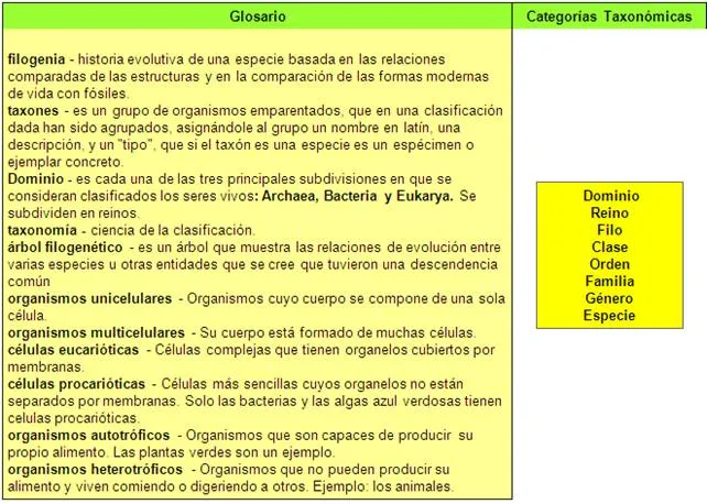 Los reinos de la vida - Monografias.com