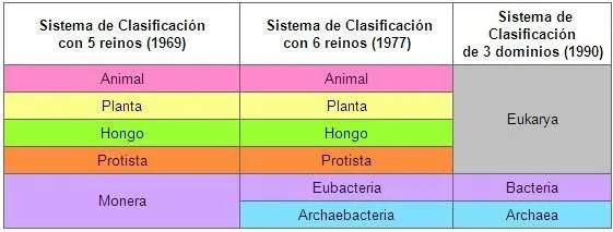 Los reinos de la vida - Monografias.com