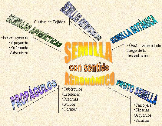 Los reinos de la vida | Plusformación