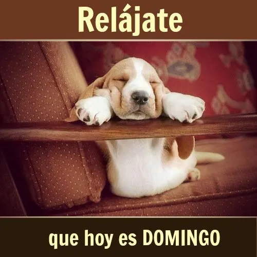 Relájate que hoy es #Domingo... #Citas #Frases @Candidman ... Relájate que hoy es #Domingo... #Citas #Frases @Candidman ...