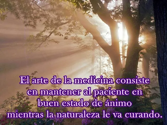 ZOOM FRASES: frases para levantar el animo, aliento y esperanzas ZOOM FRASES: frases para levantar el animo, aliento y esperanzas