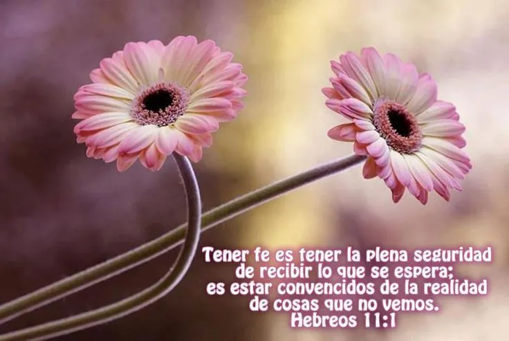 Mensaje biblicos de esperanza - Imagui