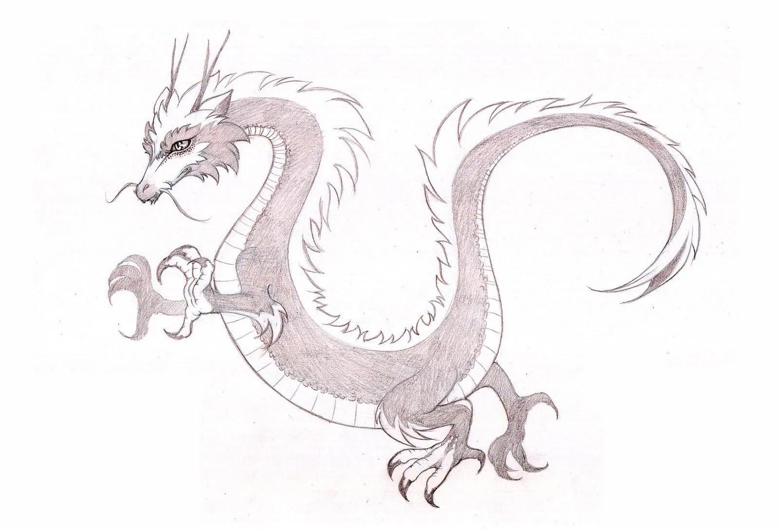 REMEMBER (VII): DRAGONES MANGA PARA SPOT DE TV (bocetos ... REMEMBER (VII): DRAGONES MANGA PARA SPOT DE TV (bocetos ...