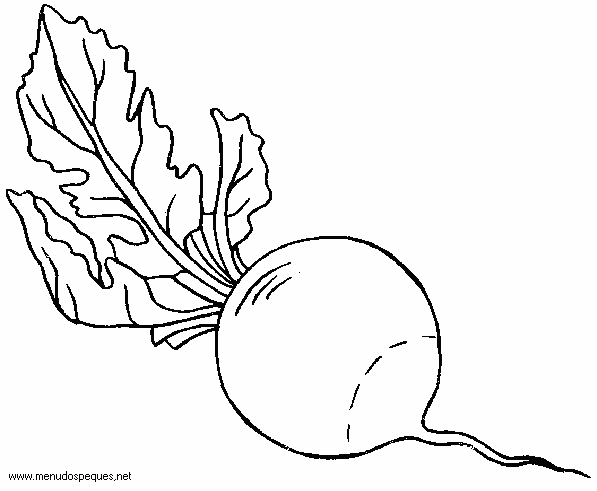 Imagenes de hortalizas para colorear - Imagui Imagenes de hortalizas para colorear - Imagui