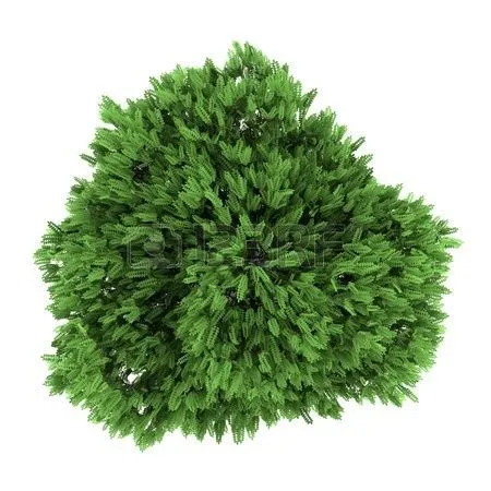 render, vista en planta, arbol, arbusto | Arboles y arbustos en ... render, vista en planta, arbol, arbusto | Arboles y arbustos en ...