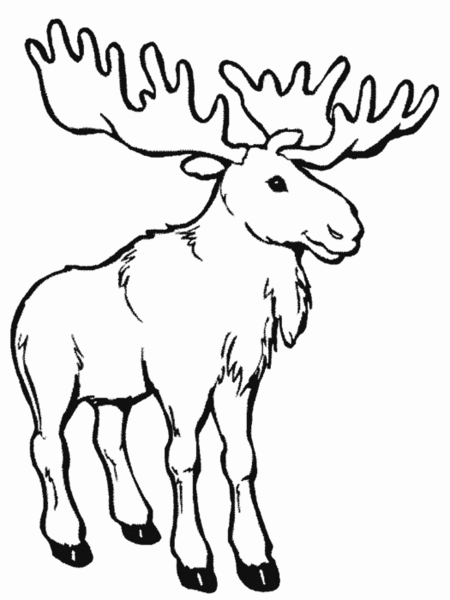 Dibujo de un RENO - Imagui