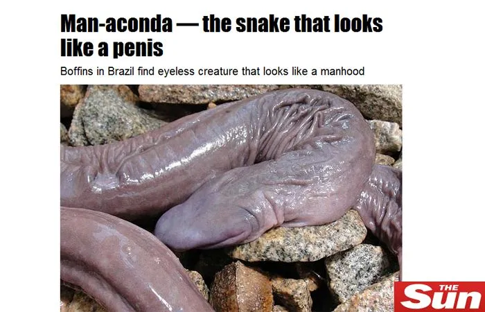 RENOVAÇÃO: 2012-07-29