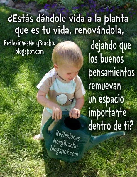 Renueva tus pensamientos desde lo más profundo ~ Reflexiones ...