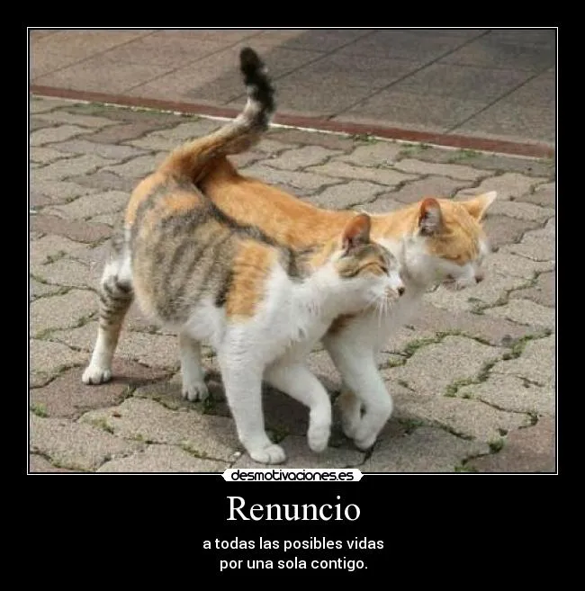Renuncio | Desmotivaciones