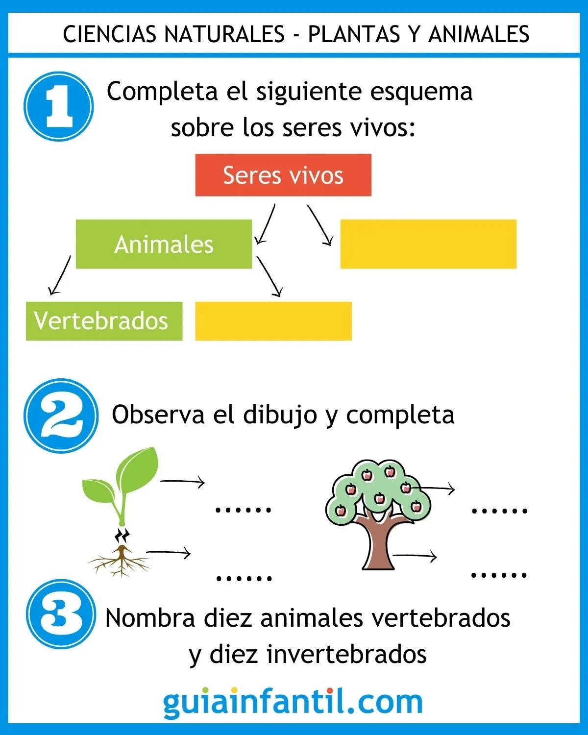 Repasar Ciencias Naturales con niños - Fichas y ejercicios entretenidos