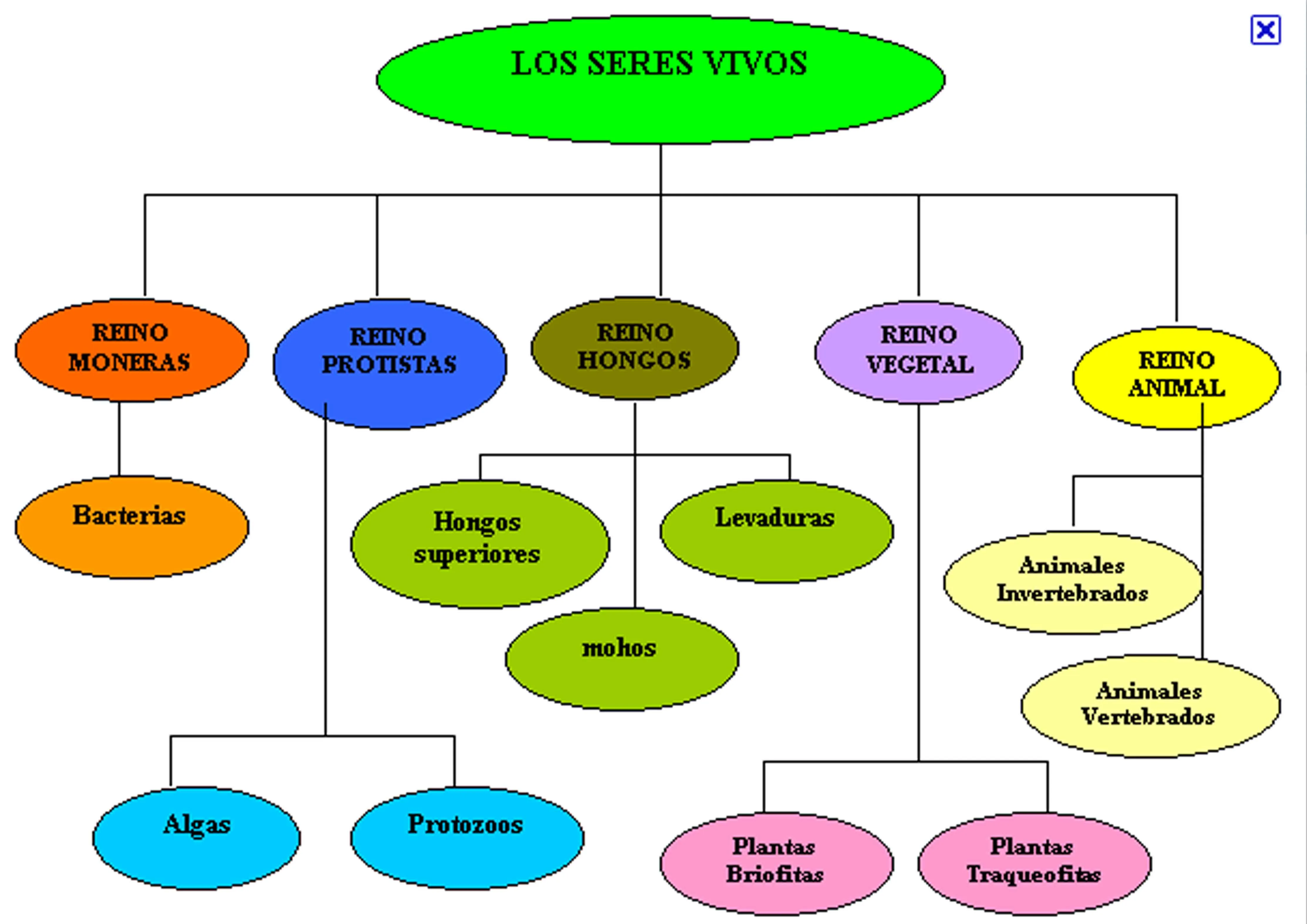 REPASO TEMA 1: LOS SERES VIVOS | martinhues45 REPASO TEMA 1: LOS SERES VIVOS | martinhues45