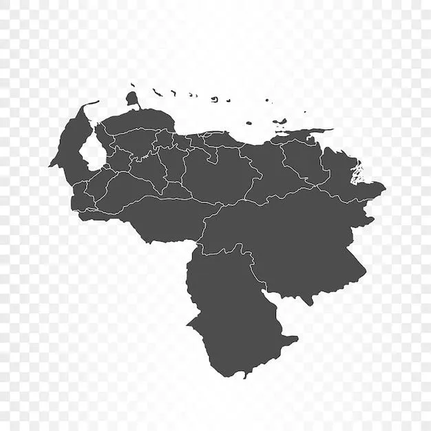 Representación aislada del mapa de venezuela | Vector Premium