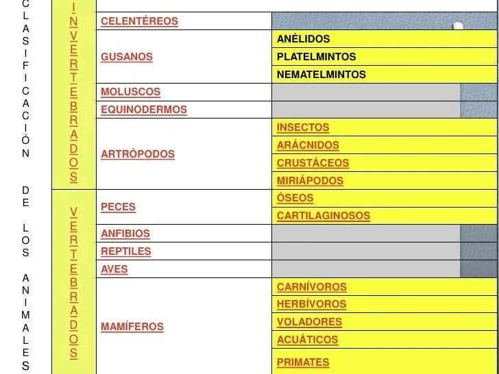 reproduccin-en-el-reino-animal ...