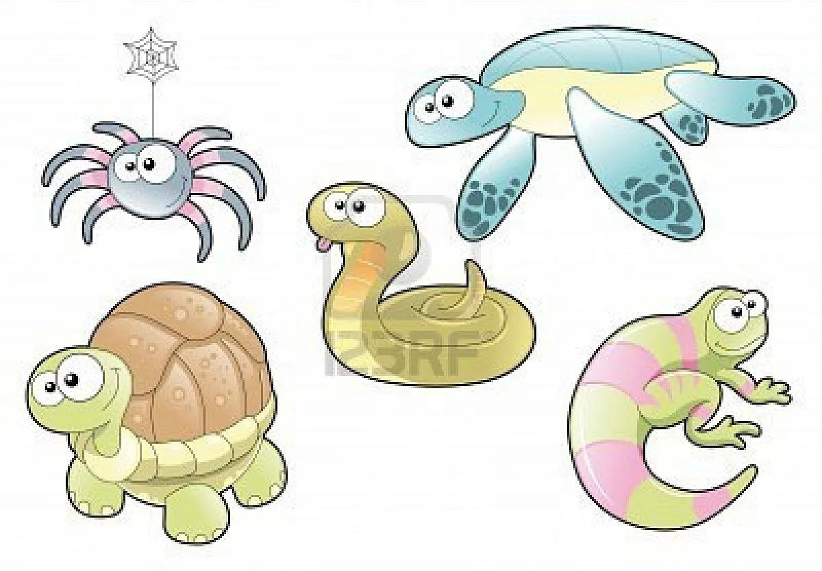 5609812-reptiles-y-spider-de-la-familia-personajes-de-dibujos ... 5609812-reptiles-y-spider-de-la-familia-personajes-de-dibujos ...