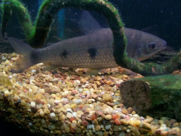 Reserva Acuario del Uruguay