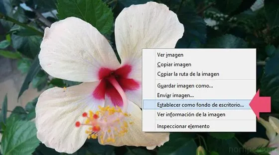 La resolución y relación de aspecto de la pantalla del equipo La resolución y relación de aspecto de la pantalla del equipo