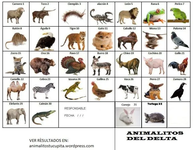 Resultados de las loterias de animalitos de venezuela - Imagui