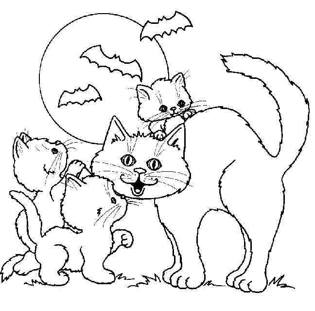 Resultado de la búsqueda gatitos